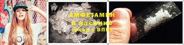 прущие грибы Армянск