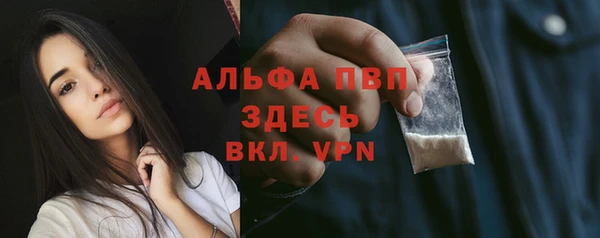 прущие грибы Армянск